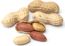Arachide (cacahuètes) riche en protéines végétales