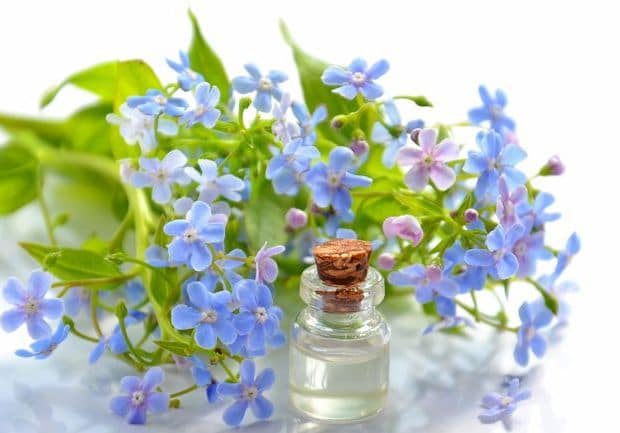 huile essentielle bio et aromathérapie