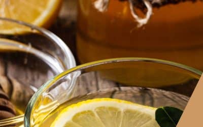 Catalogue – Novembre 2025