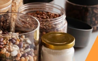 Catalogue – Mars 2026